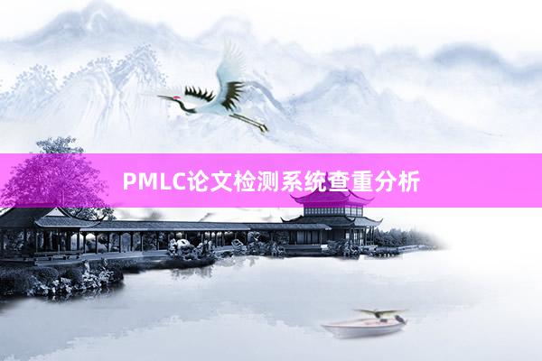 PMLC论文检测系统查重分析